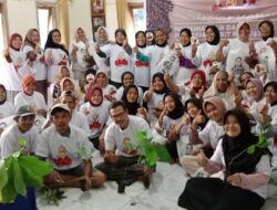 OMG Edukasi: Bibit Kopi Robusta untuk Membantu Masyarakat Lahat Berwirausaha di Indonesia