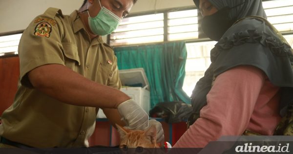Pemkot Yogyakarta siapkan 2 Pusat Rabies untuk Vaksinasi