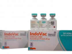 Indovac, Vaksin Covid-19 Produksi Bio Farma Dapat Izin Edar dari BPOM